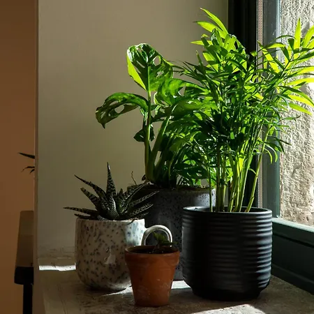 20-24 Old Town Appartamento Corfu (city)